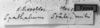 CollectionObject 1530105; 6eda9033-9ab0-4a8b-838f-4f6e9aa43a59: Image Carbonell, C.S. labels (holotype of Spathalium stali). (CollectionObject).