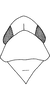 Head on Aguriahana youngi Chiang, Hsu & Knight, 1989: Head, pro-, and mesothorax. (Observation).