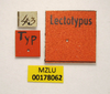 CollectionObject 1596020; edbd8bd1-2f8b-489c-92fc-3b4b39a2a93e, MZLU178062: labels (syntype of Acridium hieroglyphicum). (CollectionObject).