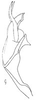 Aedeagus, lateral view: !! display not done !! on Cumora (Cumora) angulata Oman, 1938: Aedeagus, lateral view. (Observation).