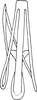 Aedeagus, ventral view: Aedeagus, ventral view. (Observation).
