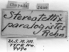 CollectionObject 1533645; 8aa2610b-2360-442c-b112-b04b200d8ab5: Image Carbonell, C.S. labels (lectotype). (CollectionObject).