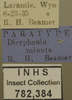 Other: !! display not done !! on Dicyphonia minuta Beamer, 1936: Labels. Labels for the specimen used for the dorsal, lateral and face images. (Observation).