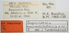 CollectionObject 1567960; 4cf3660e-4ed7-4e84-b73f-b49be6b67d64: female, labels (paratype 1/3). (CollectionObject).