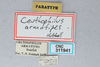 CollectionObject 2738254; c8325fda-9399-496a-a0a0-487a1060868a, CNCI 311941: (CollectionObject).
