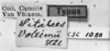 CollectionObject 1566510; a37cc540-63ea-4f7f-963f-e6178b92baca: Image Carbonell, C.S. labels (syntype). (CollectionObject).