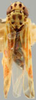 Habitus, dorsal view on Ciudadrea Dworakowska, 1970: Habitus (C. colorata Dworakowska). (Observation).