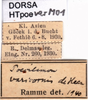 CollectionObject 1583463; 5a0c0941-6f7e-411c-99df-2ce01201e07b: labels. (CollectionObject).