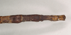CollectionObject 1561201; NHMUK(SF IMPORT DUPLICATE) 844712, fba3b5b0-24c8-45d6-b06e-c9e4f45db985: copyright Natural History Museum, London. female: end of abdomen, dorsal view of synonym Dixippus cornutus (holotype). (CollectionObject).
