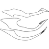 Pygofer appendages on Seriana kovka Dworakowska, 1981: Pygofer ventral appendage. (Observation).