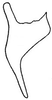 Stylus: !! display not done !! on Graminella aureovittata (Sanders & DeLong, 1920): Stylus. (Observation).