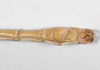 CollectionObject 1576632; 93772d7e-7568-4b9d-8be9-021fcf0a0502: copyright FSCA. male: end of abdomen, ventral view (holotype). (CollectionObject).