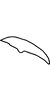 Pygofer appendages on Anufrievia confluensa Tan, Jiang & Song, 2021: (Observation).