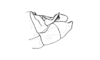 Dichroplus intermedius Ronderos, 1976: Fig. 4. male abdomen tip, lateral view. (Otu).