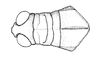 Atrachelacris olivaceus (Bruner, 1911): Fig. 2G. male head and pronotum, dorsal view. (Otu).