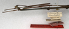 CollectionObject 1558818; NMW 669, efdf2a62-cdd6-4f48-89ba-e3a43137f087: copyright NMW, Vienna. male: head and thorax, lateral view (lectotype). (CollectionObject).
