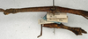 CollectionObject 1557658; NMW 516, d6166402-1bac-4d9d-96d4-bedfe2a69a09: copyright NMW, Vienna. female: head and thorax, lateral view (holotype). (CollectionObject).