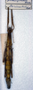 CollectionObject 1558432; 8c72c3c8-f49b-4340-8a61-5d8ce2fe939a: copyright ZMAN [Amsterdam]. female of Dimorphodes carinatus (syntype). (CollectionObject).