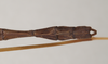 CollectionObject 1562018; NHMUK(SF IMPORT DUPLICATE) 844843, 02beb93f-6bb1-4187-93c6-68bcd0cf3f1c: copyright Natural History Museum, London. male: end of abdomen, dorsal view of synonym Sipyloidea peelensis (holotype). (CollectionObject).