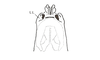 Leptomerinthoprora brevipennis Rehn, 1905: Fig. 3D. protruding phallus, showing ectophallic folds around aedeagal valves and lateroventral sclerites (L.L.), dorsal view. (Otu).