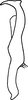 Stylus on Arboridia (Arboridia) hussaini (Ghauri, 1963) now Arboridia (Arboridia) kermanshah (Dlabola, 1963): Stylus. (Observation).