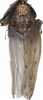 Habitus, dorsal view on Recilia coronifer (Marshall, 1866): Habitus. (Observation).