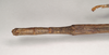 CollectionObject 1563479; NHMUK(SF IMPORT DUPLICATE) 845013, a98e78f0-0d25-4a81-bc07-04271a0eca8b: copyright Natural History Museum, London. female: end of abdomen, dorsal view (holotype). (CollectionObject).
