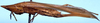 CollectionObject 1522227; 14f81d62-ffaf-4d48-bfc7-ed10b074d0bb: female (holotype of Caulopsis prora). (CollectionObject).