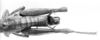 CollectionObject 1524818; 3700c52e-640c-400e-999d-05e38bd23156: male abdomen end, dorsal view (lectotype). (CollectionObject).
