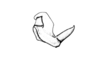 Enodisomacris curtipennis Cigliano, 1989: Fig. 226. epiphallus, lateral view. (Otu).