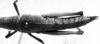CollectionObject 1532739; 87e61602-cf71-45c8-b5df-25517e3f2fcf: Image Carbonell, C.S. female, dorsal view (holotype). (CollectionObject).
