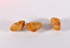 CollectionObject 1562360; 463f0e28-4293-438a-9c9f-c906cc637a38: copyright ZMHB, Berlin. eggs of synonym Xeropsis sicca (from syntype). (CollectionObject).;CollectionObject 1562361; 41094e48-deb4-4549-bb32-9bfe1b7785cf: copyright ZMHB, Berlin. eggs of synonym Xeropsis sicca (from syntype). (CollectionObject).