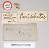 CollectionObject 1561002; NHMUK(SF IMPORT DUPLICATE) 844708, 4b5dcd0b-d6da-4636-882a-4c48ef5d5038: copyright Natural History Museum, London. female, data labelsof Phasma graniferum (holotype). (CollectionObject).