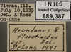 Other: !! display not done !! on Arundanus flavotinctus (DeLong, 1916): Labels. (Observation).