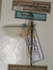 CollectionObject 1561930; NMW 1095', 5021ca0b-147b-4f5b-be06-2e0adb0da2fe: copyright NMW, Vienna. male (syntype) [misidentified = Sipyloidea meneptolemus]. (CollectionObject).