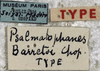 CollectionObject 1541893; 83c567be-17fb-436c-8aed-60b12210364c: labels (syntype). (CollectionObject).