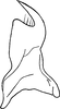 Stylus: Stylus. (Observation).