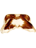 Forewing: Female internal sternum VIII. (Observation).