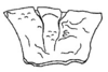 Callimenellus modestus Gorochov & Voltshenkova, 2005: Fig. 18. pronotum, lateral view. (Otu).