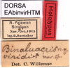 CollectionObject 1537590; 65ddc1be-43f9-45cd-a984-e1e47eef91ae: labels (holotype). (CollectionObject).