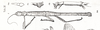 Xerantherix Brancsik, 1893: from original publication. Xerantherix nossibianus female [type species]. (Otu).