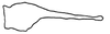 Subgenital plate, ventral view on Pseudocostanana flavina (DeLong & Freytag, 1972): Male: subgenital plate, ventral view. (Observation).