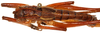 CollectionObject 1499681; dce49f88-6ee6-430a-a84a-be125ced48ec: female, dorsal view. (CollectionObject).