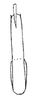 Aedeagus, posterior view on Carapona deserta Freytag, 2012: Male holotype: aedeagus, posterior view. (Observation).