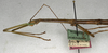 CollectionObject 1557314; 45f89d24-1a96-4478-9e78-82cb6e4f0af8: copyright NMW, Vienna. male: head and thorax, lateral view (holotype). (CollectionObject).