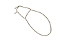 Ateliacris annulicornis annulicornis (Bruner, 1908): Fig. 12. male, end of maxillary palp. (Otu).
