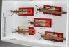 CollectionObject 1563150; 55f54994-04f2-45fc-9274-c3586ae2f128: copyright ANSP. males and females, dorsal view (holotype and paratypes). (CollectionObject).