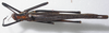 CollectionObject 1543934; bdf9a7e4-cf62-4a27-8d82-33bf39df4740: male, dorsal view. (CollectionObject).