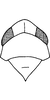 Head on Farynala palina Chiang, Hsu & Knight, 1989: Head, pro-, and mesothorax. (Observation).