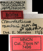CollectionObject 1535142; 0ea891b6-e6a5-4ec7-b980-bbdb297ef3cb: labels (holotype). (CollectionObject).